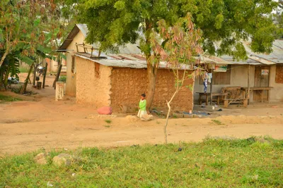 DSC_4342 (Large).JPG